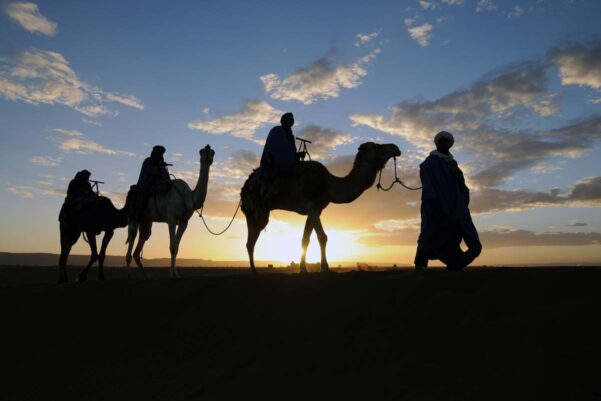 Camelo Marrocos