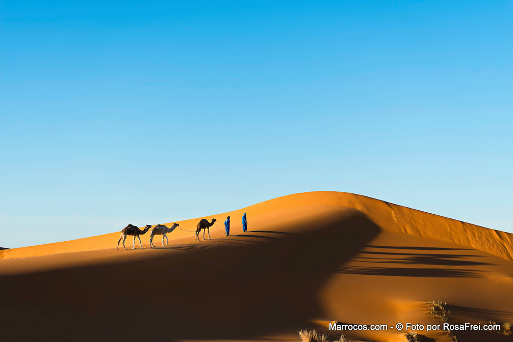 Deserto do Saara com camelos e dois homens berberes