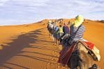 Caravana de passeio em camelo no deserto de Marrocos