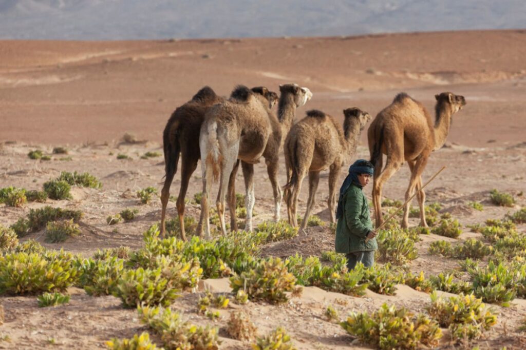 Deserto do Saara em Marrocos