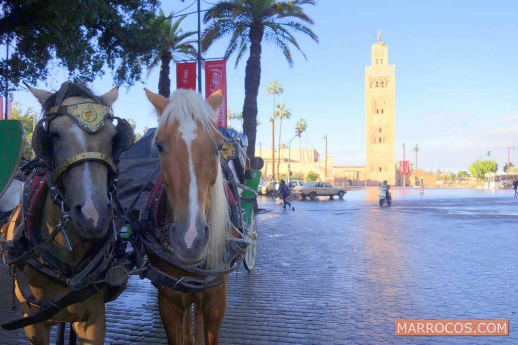 MARRAQUEXE MARROCOS