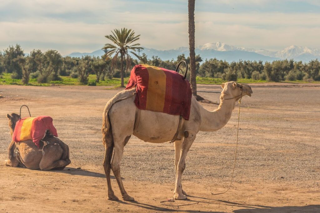 Marraquexe Marrocos