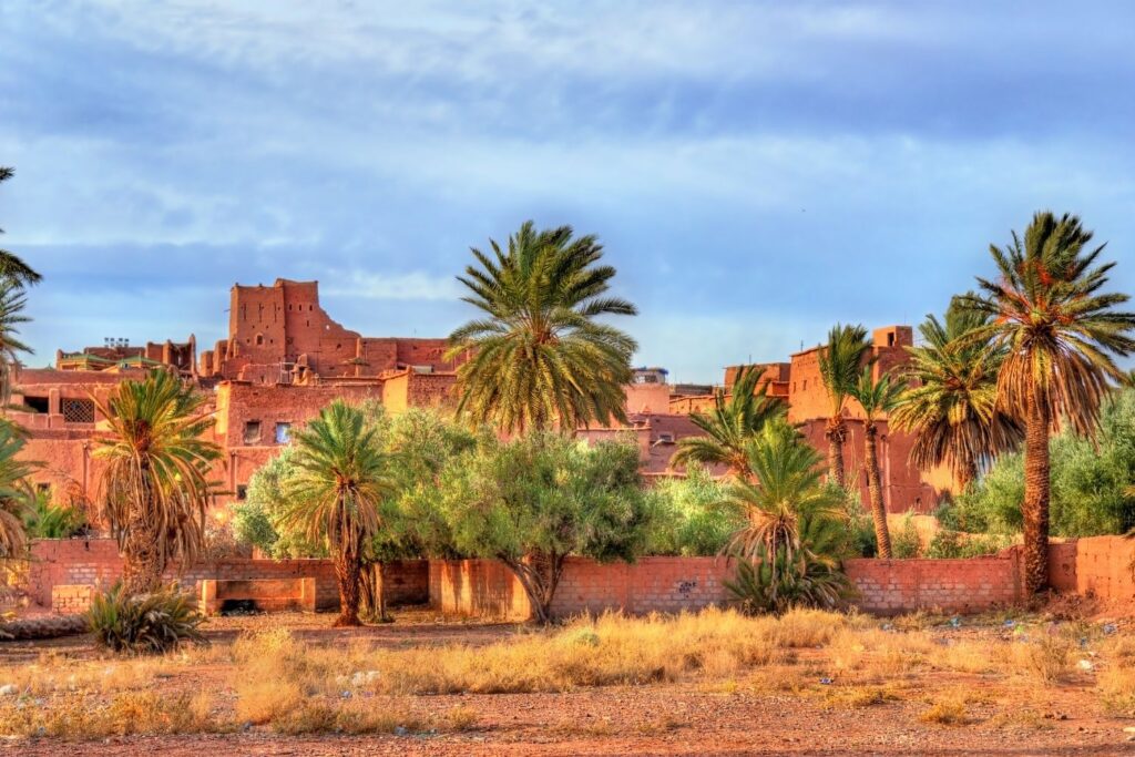 Marrocos Palmeirais