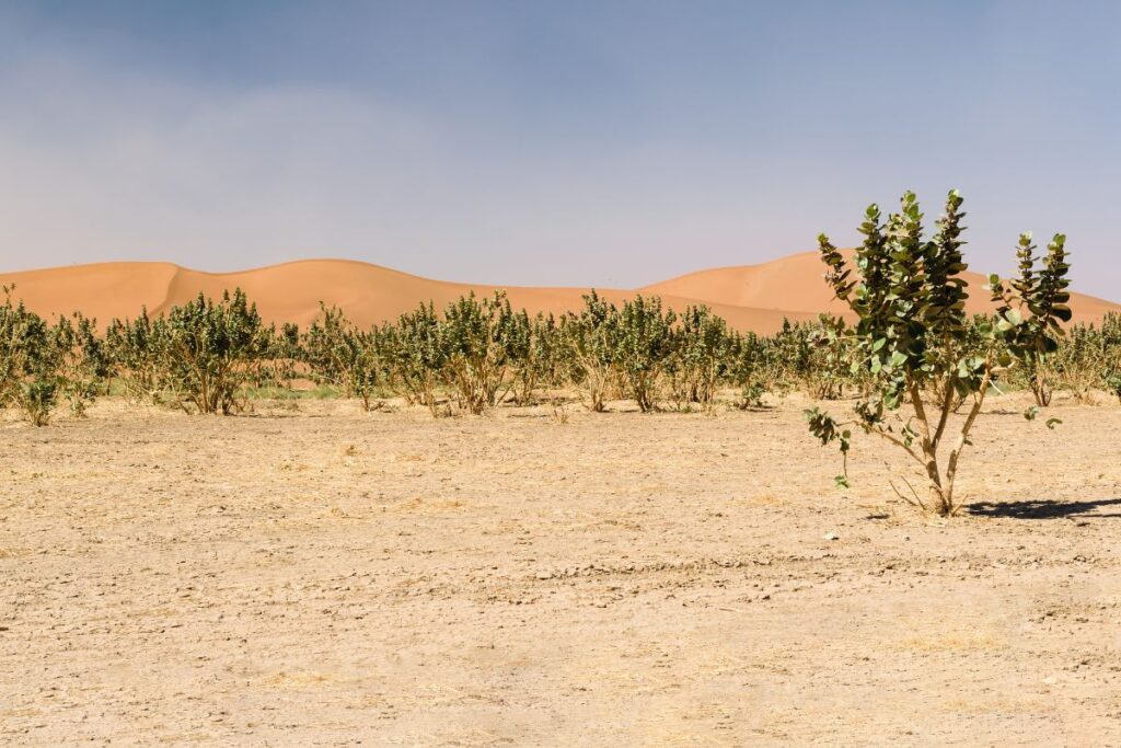 Parque Nacional de Iriki Marrocos