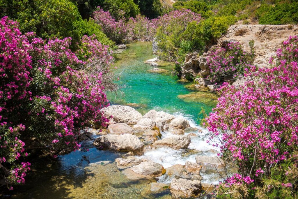 Parque Nacional de Talassemtane Marrocos