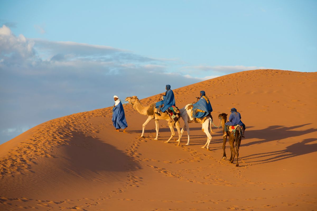 Passeio de Camelo no Deserto do Saara