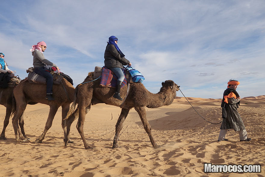 Camelos nas dunas do deserto de Marrocos